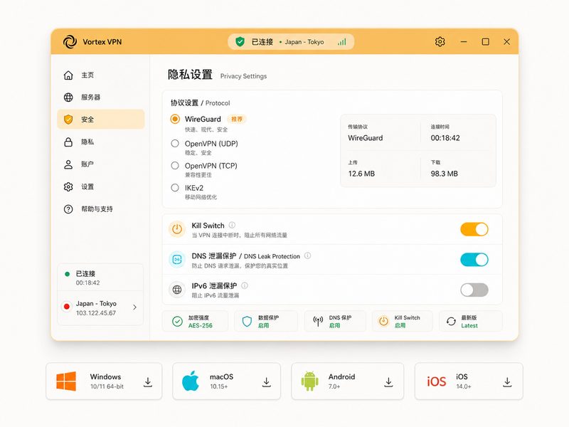 Vortex VPN 银行级隐私安全与加密协议设置界面